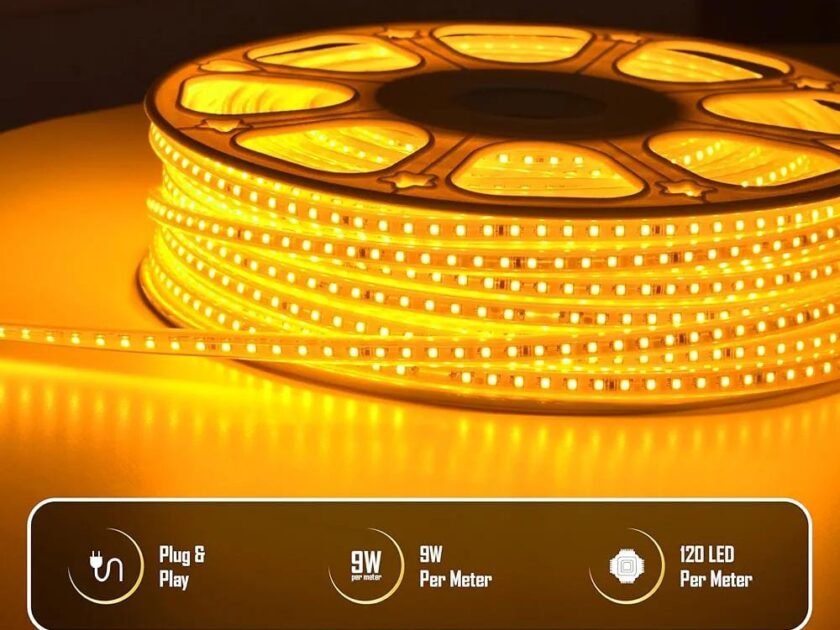 WhatsApp Image 2025-09-20 at 12.30.51 PM (2)