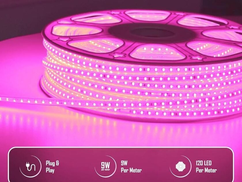 WhatsApp Image 2025-09-20 at 12.30.51 PM