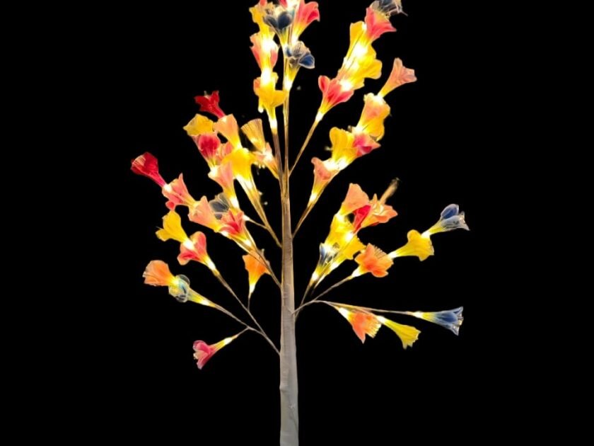 WhatsApp Image 2025-09-25 at 1.21.49 PM